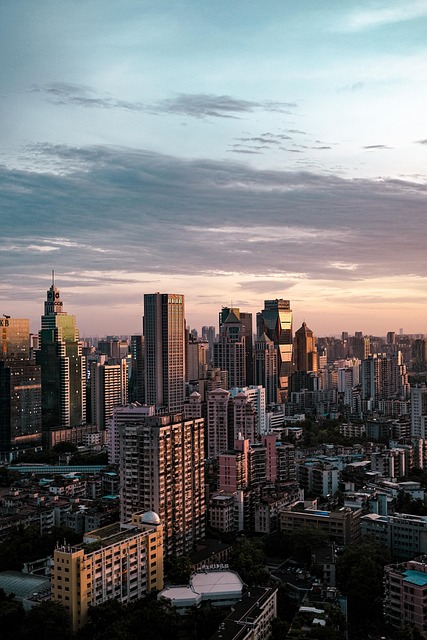 新潟県南魚沼市の水田でドローンが上空から水稲の生育状況をモニタリング